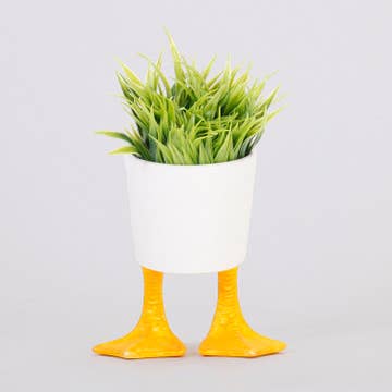 Small Duck Feet Planter