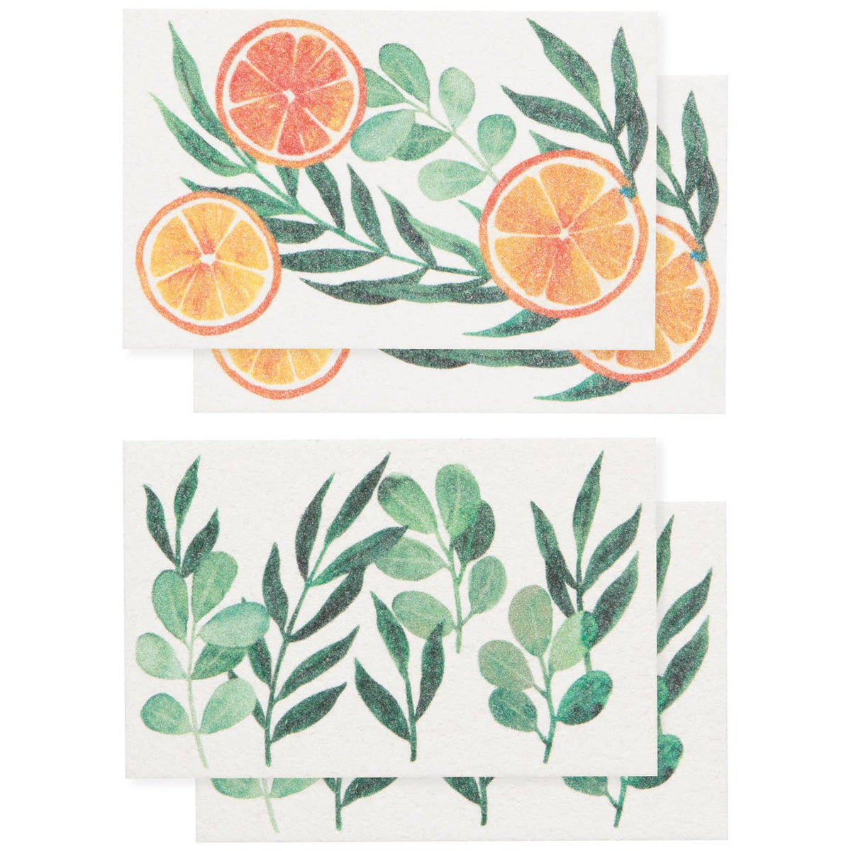 Cedar & Citrus Pop Up Sponges Set of 4 Assorted