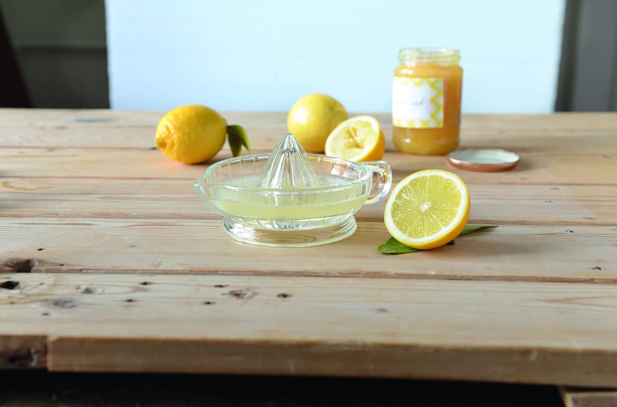 Fox Run Glass Juicer