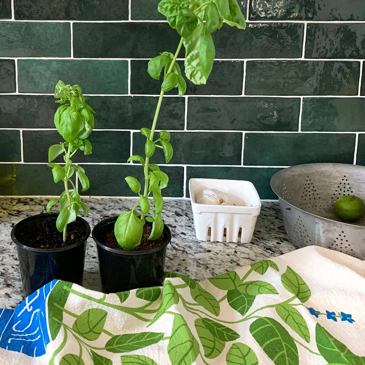 Basil Tea Towel