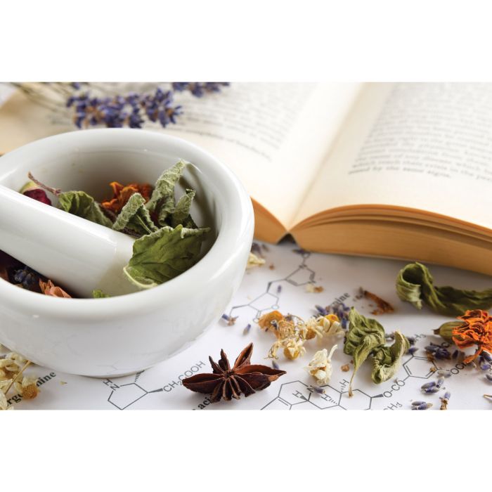 HIC Kitchen Fine Porcelain Mortar with Pour Spout and Pestle
