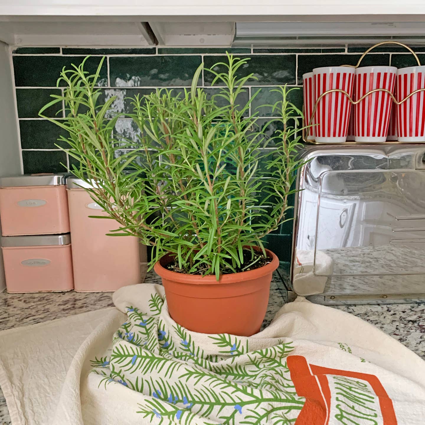Rosemary Tea Towel