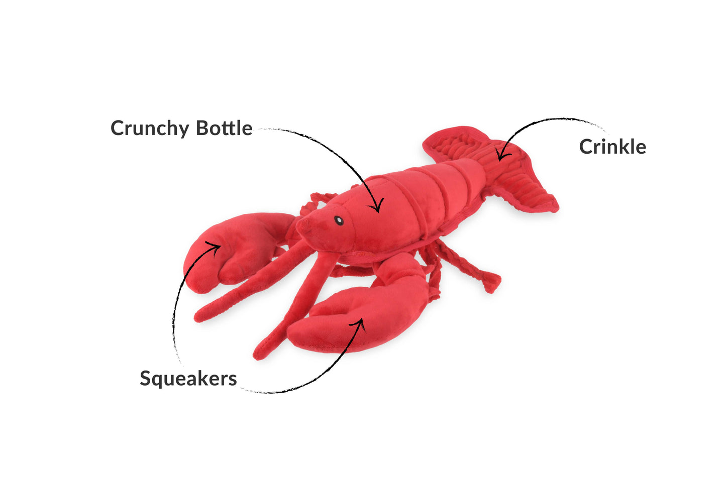 Ocean Buddies - Lemmy the Lobster