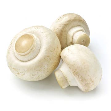 HIC Kitchen Mushroom Brush