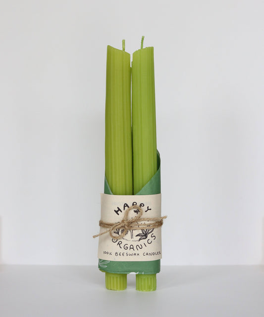 CELERY TAPER BEESWAX CANDLES - SET OF 2
