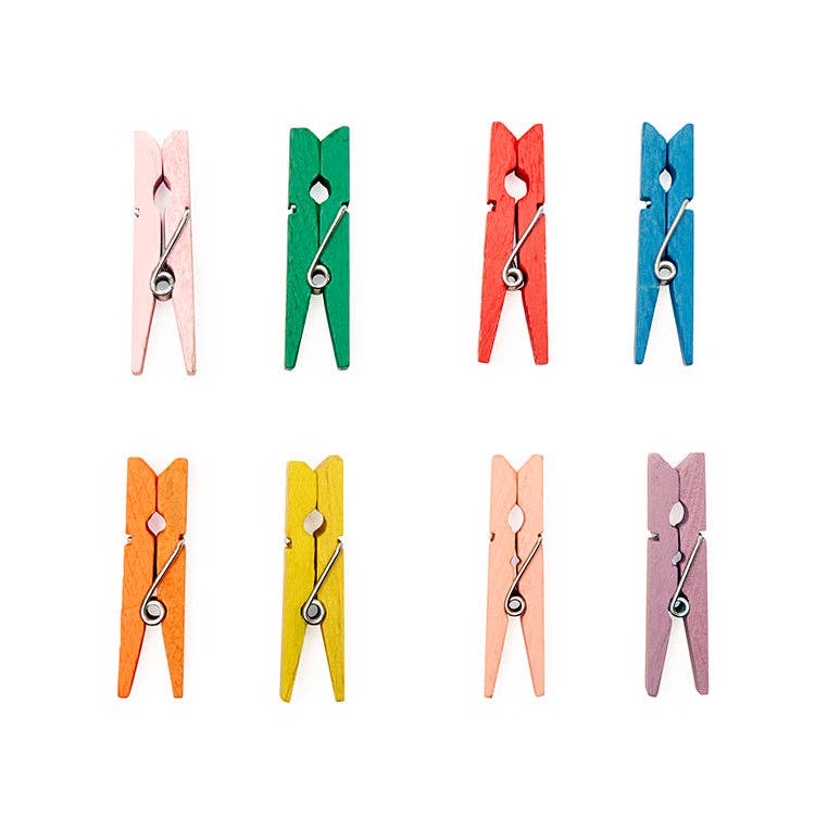 Mini Clothes Pin Bag Clips S50