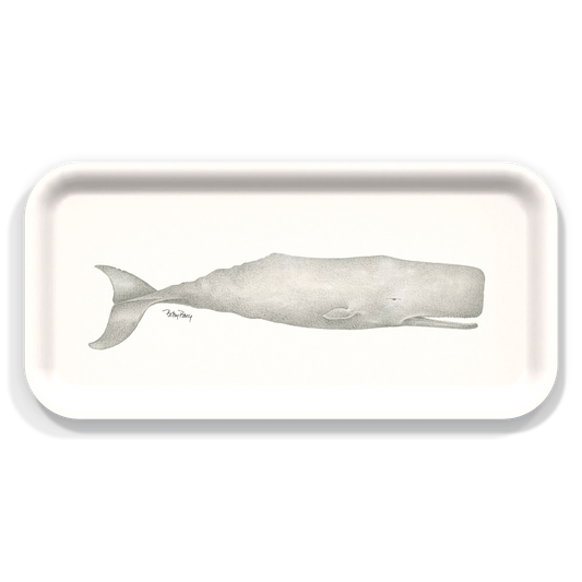 Single Whale by Betsy Barry Small 11"x5" Tray